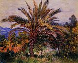 A Palm Tree at Bordighera by Claude Monet